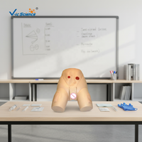 Maniquíes de Ciencias Médicas, Maniquí de Entrenamiento Médico, Modelo Avanzado para Cateterización Femenina Completa