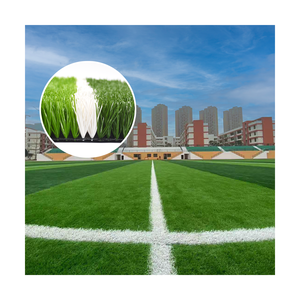 <span class=keywords><strong>Gazon</strong></span> <span class=keywords><strong>artificiel</strong></span> <span class=keywords><strong>professionnel</strong></span> en PE Terrain de football Terrain de football en salle - Product Image 1