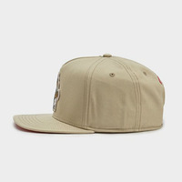 Topi Baseball Dewasa Model Hip-Hop Bergambar Kartun Kucing, Pinggiran Datar, Jaring Pelindung Matahari, Anti Angin, untuk Pelajar, Perdagangan Luar Negeri, Lintas Batas