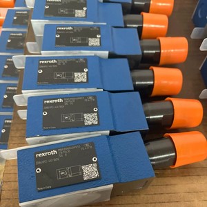 R900409933 ZDB6VP2-4X/100V Dispositivo de Protección para Equipos Industriales - Product Image 3