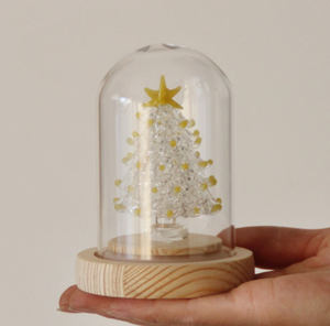 Ornement <span class=keywords><strong>de</strong></span> table led boules <span class=keywords><strong>de</strong></span> globe clair tasse conteneur pot à biscuits avec base <span class=keywords><strong>en</strong></span> bois statues <span class=keywords><strong>de</strong></span> fruits <span class=keywords><strong>en</strong></span> <span class=keywords><strong>verre</strong></span> décorations d'arbre <span class=keywords><strong>de</strong></span> <span class=keywords><strong>noël</strong></span> - Product Image 5