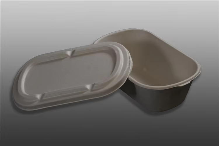PFAS-Free 100% Compostable Disposable Takeaway Lunch Box with Lid 2 ...