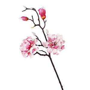 Simulated magnolia EVA Chinese-style Multi-stem magnolia <b>Tabletop</b> Flower Arrangement Simulated Plant magnolia Wedding PU Flower - Product Image 5