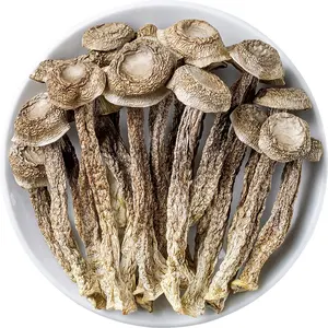 Wholesale High Quality Dried Natural Velvet Mushroom