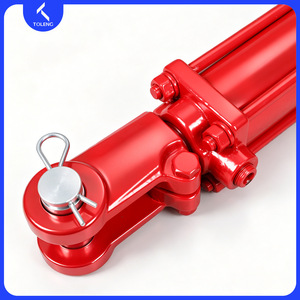 Cilindro Hidráulico Personalizado No Estándar de Tianlong Machinery, Tipo Tr, Pintura Roja, para Uso en Maquinaria Agrícola - Product Image 4