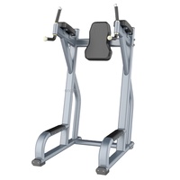 Équipement de fitness professionnel fourni par le fabricant : Machine d'exercice verticale pour l'entraînement des genoux en salle de sport