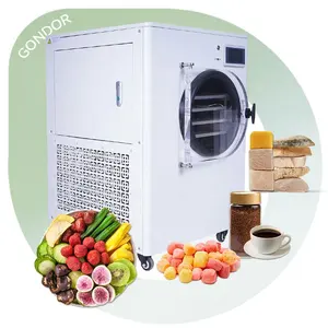 Delta Dry Dried Foods Machine Home Use Small Pump 10 Sqm Lyophilizer Vacuum Freeze Dryer for Food Herb Tea Fruit