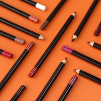 Nouvel Arrivage – Crayon à Lèvres Végétalien Imperméable en Gros, Facile à Appliquer, Longue Tenue, pour un Contour des Lèvres Parfait