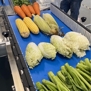 Tự động ngang trái cây và rau Pouch máy bao bì gối bao bì cho thực phẩm tươi sống và chức năng làm đầy - Product Image 5