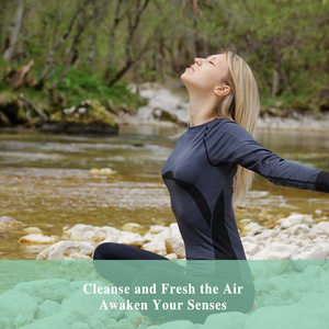 Nhãn hiệu riêng OEM nhà máy Chiết Xuất 30ml <span class=keywords><strong>Cedarwood</strong></span> tinh dầu cho hương thơm khuếch tán - Product Image 3