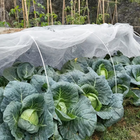 HDPE landbouwgaas anti-insectennet voor kas 100gsm 40*25 maas