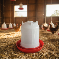 Vente en gros d'abreuvoirs et mangeoires pour volailles de 0,6 L, 1,0 L, 1,3 L, 2,5 L, 4 L, 6,5 L, 12 L, abreuvoir pour poulets, abreuvoir pour volailles, élevage de volailles