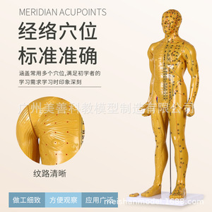 80CM - Product Image 2