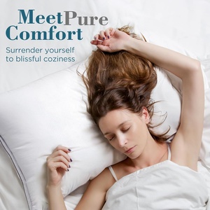 Ensemble de coussins en polyester en lot économique, <span class=keywords><strong>prix</strong></span> compétitif pour les acheteurs en gros - Product Image 1