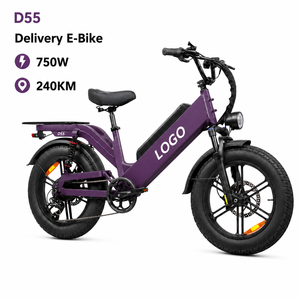 Bicicleta Eléctrica de Carga D55, Motor de 7500W con Engranajes, 80 N·m de Torque, 48V, Neumático Grueso de 20 Pulgadas, Bicicleta Híbrida Eléctrica - Product Image 1