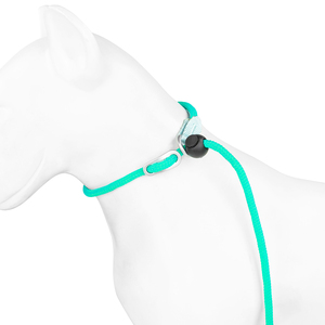 Laisse de corde antidérapante <span class=keywords><strong>pour</strong></span> <span class=keywords><strong>chien</strong></span>, solide et confortable, extrêmement durable, laisse d'escalade en nylon de qualité supérieure, rayée - Product Image 6