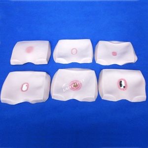 Decubitus bệnh tiến hóa mô hình, áp lực loét điều dưỡng đào tạo trình diễn mô phỏng chế độ của mông vết thương - Product Image 1