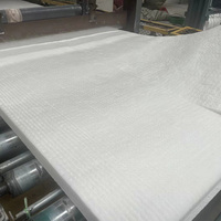 Couverture en fibre céramique 1260 pour l'isolation des murs du four