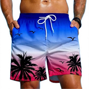 Pantalones Cortos Deportivos Casuales para Hombre, Cintura Media, Cierre con Cordón, Diseño Sólido, Poliéster, Bolsillos Traseros con Logotipo, Estampado por Sublimación - Product Image 2