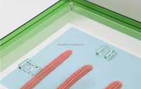 Cadre d'affichage magnétique en acrylique pour comptoir, pour photos et certificats - Design moderne et écologique