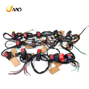 Anou-otociclo de la bruja, - Product Image 6