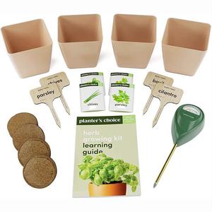 Kit completo <span class=keywords><strong>de</strong></span> cultivo <span class=keywords><strong>de</strong></span> hierbas para jardín <span class=keywords><strong>de</strong></span> interior, juego único <span class=keywords><strong>de</strong></span> albahaca, cilantro, <span class=keywords><strong>cebollino</strong></span>, <span class=keywords><strong>brotes</strong></span> <span class=keywords><strong>de</strong></span> perejil, fácil <span class=keywords><strong>de</strong></span> cultivar para uso doméstico - Product Image 2