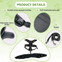 Genouillère pour chien avec harnais pour jambe déchirée CCL Luxating Patella Dog Genouillères pour jambe arrière Joint chaud et soulage les douleurs articulaires