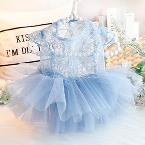 Robe d'été fine pour chien, style princesse, en dentelle bouffante bleu brumeux, pour petits chiens, design mignon toutes saisons - Product Image 1