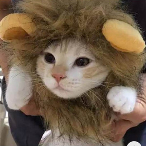 Chapeau amusant pour animaux de compagnie en forme de tête de lion, accessoire créatif pour les oreilles, pour chiens et chats - Product Image 3