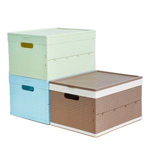 Custom Rattan Design Plastic Tote Box Container For Books Toys Storage Organizer