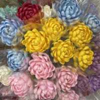 Fleur de Nénuphar en Bois Sola de Haute Qualité, 10 cm, Naturelle, Séchée, Écologique, Longue Durée, Décoration pour le Nouvel An Chinois