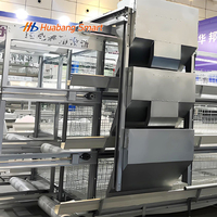 Nouvelle cage à poulets à alimentation automatique de type H à longue durée de vie avec certification ISO CE pour poulailler de style fermé