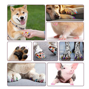 Kit pennarello <span class=keywords><strong>per</strong></span> Nail Art <span class=keywords><strong>per</strong></span> animali domestici lavabile <span class=keywords><strong>per</strong></span> feste ed eventi pittura temporanea eco-friendly inodore pennarello <span class=keywords><strong>per</strong></span> Nail Art - Product Image 5