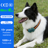 Collier GPS pour chien Qcool : Traceur numérique pour animaux de compagnie, localisateur de signal de navigation, lumineux d'urgence pour extérieur, étanche