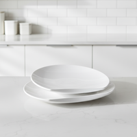 Ensemble d'assiettes de table en plastique et mélamine, vente en gros, d'usine