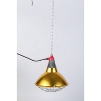 Nouvelle Lampe Chauffante Infrarouge en Céramique avec Support pour Radiateur, Idéale pour l'Élevage de Volailles, Ampoule Chauffante Infrarouge