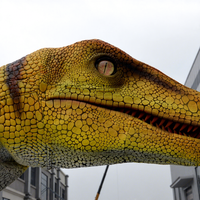 Costumes de dinosaures animatroniques personnalisés, costume de dinosaure animatronique marchant, costume de Velociraptor réaliste