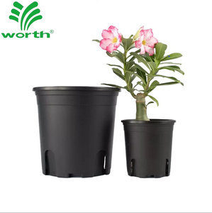 peat moss potting soil mix Good Dirt Outdoor Potting Mix
