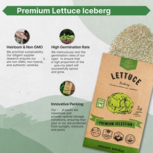 Vendita calda confezione da 3G di <span class=keywords><strong>Iceberg</strong></span> di lattuga vegetale che ha un tasso di germinazione superiore e può piantare verdure fresche tutto l'anno