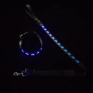 2024 Huisdier Halsband Waterdichte Kat Kras Patroon Led Lichtgevende Kraag Nacht Hond Wandelen Flash Usb Opladen Lichtgevende Nek Kraag