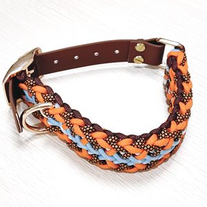 स्टाइलिश आधुनिक डिजाइन के साथ कुत्ते बिल्ली कॉलर स्टाइलिश पैटर्न प्रिंट लेश नायलॉन वेबबिंग रोशनी में बनाया गया - Product Image 3