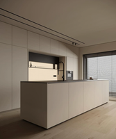Meuble de cuisine mural modulaire industriel de luxe avec garantie de 5 ans, idéal pour villa et appartement modernes, avec évier, robinet et crédence préfabriqués