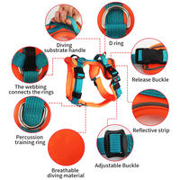 OEM/ODM Nouveau Harnais de Poitrine pour Chien Anti-Explosion Réfléchissant pour Chiot, Personnalisation de la Laisse de Transport pour Chien