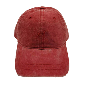 Baseball Cap for Promotion and Gift