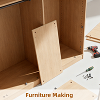 Panneaux MDF E1 modernes de 15 mm sur mesure, vente directe du fabricant, écologiques, résistants à l'humidité, surface extérieure haute brillance
