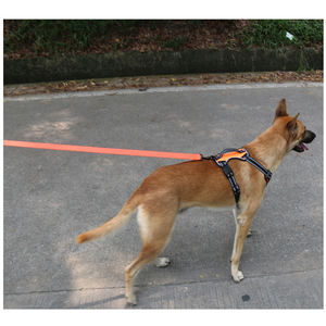 2025 nuevo arnés ecológico para perros XL, accesorio de plástico de nailon para mascotas con bonito conjunto de correa de cuello sólido para mascotas, sin tirones sólidos - Product Image 6