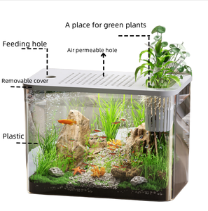 Pecera de escritorio PET ligera, acuario pequeño de 1-3 galones para Betta con <span class=keywords><strong>boca</strong></span> ancha, fácil limpieza y decoración de bajo mantenimiento - Product Image 3