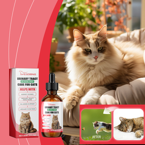 Compléments alimentaires pour animaux de compagnie - Soins pour animaux ayant des problèmes de santé - Compléments nutritionnels pour chats pour une meilleure absorption des nutriments - Product Image 4
