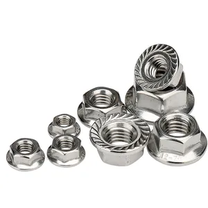 304/201/316 Stainless Steel GB6177 With Flower Teeth Flange Nuts M3 M4 M5 M6 M10 M12 M16