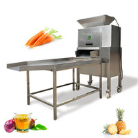 Cashew Citroen Industriële Juicer Passievrucht Maken Aloë Vera Proces Rode Biet Machine Kruidensap Extractor